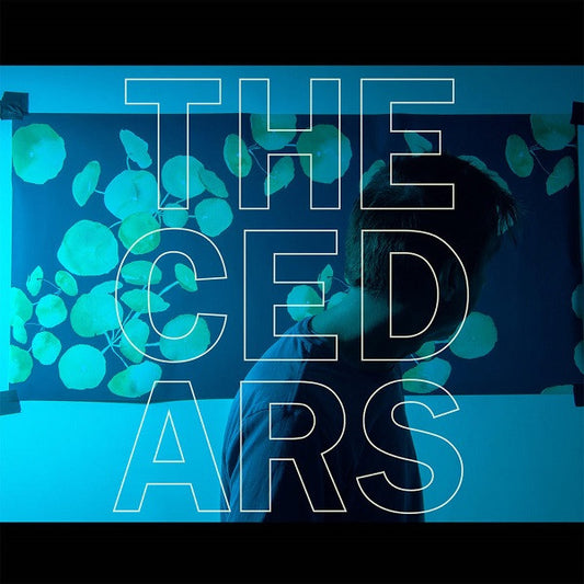 Vanderslice, John - The Cedars | - ROCK *NEW*