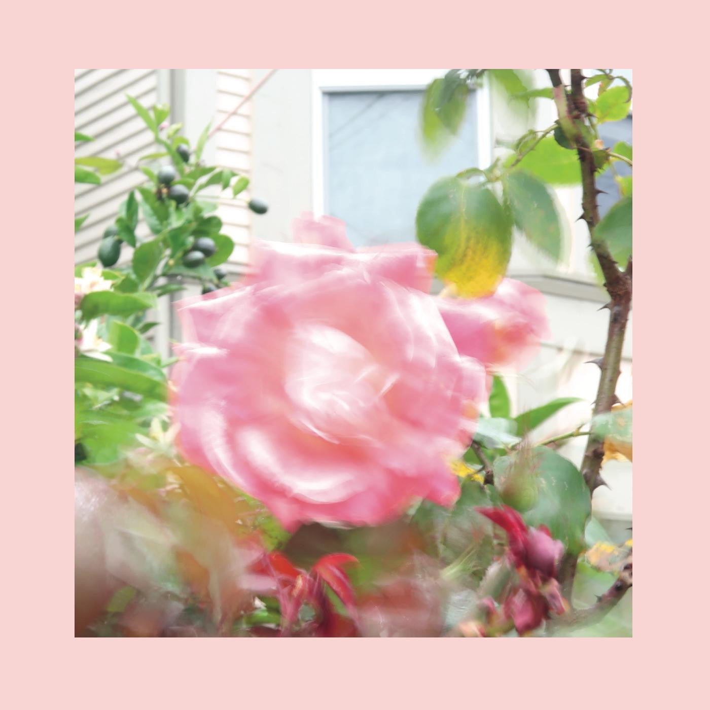Reds, Pinks & Purples, The - Summer At Land's End (CD) | - ROCK *NEW*