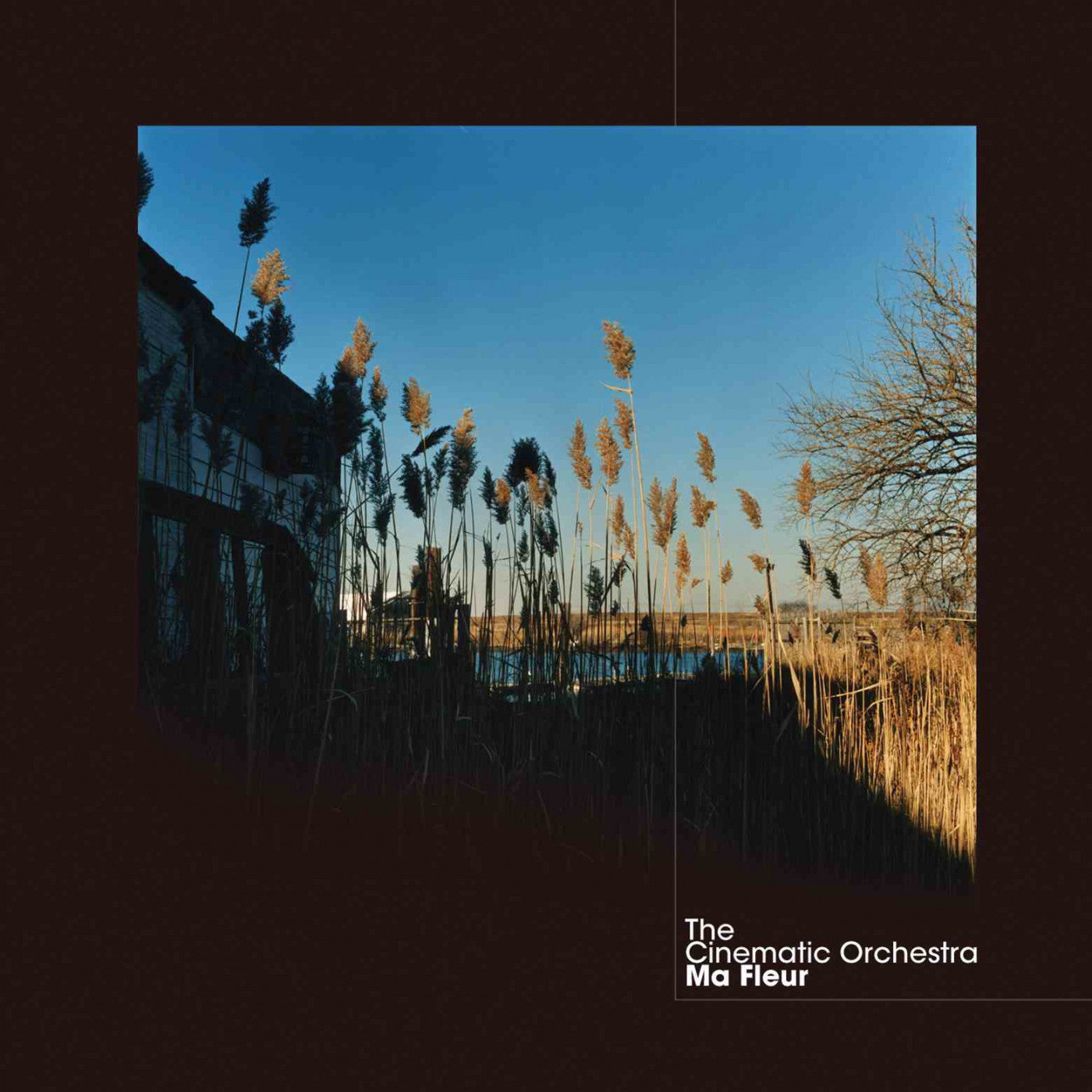 Cinematic Orchestra, The - Ma Fleur (CD) | - ROCK *NEW*