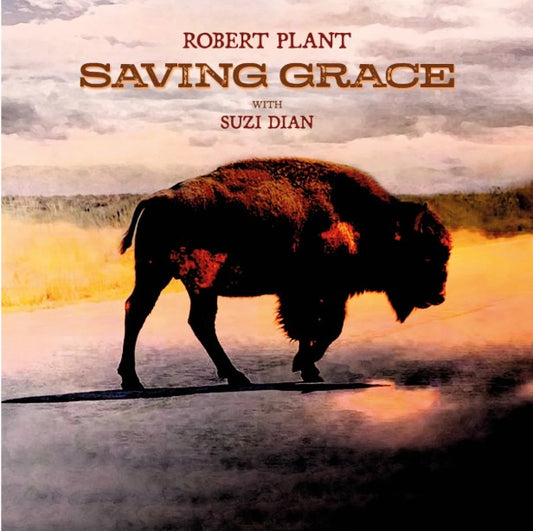 (PRE-ORDER 8/18/25) Saving Grace (Indie Exclusive) (FRUIT PUNCH VINYL) | Mint (M) Mint (M) - ROCK *NEW*