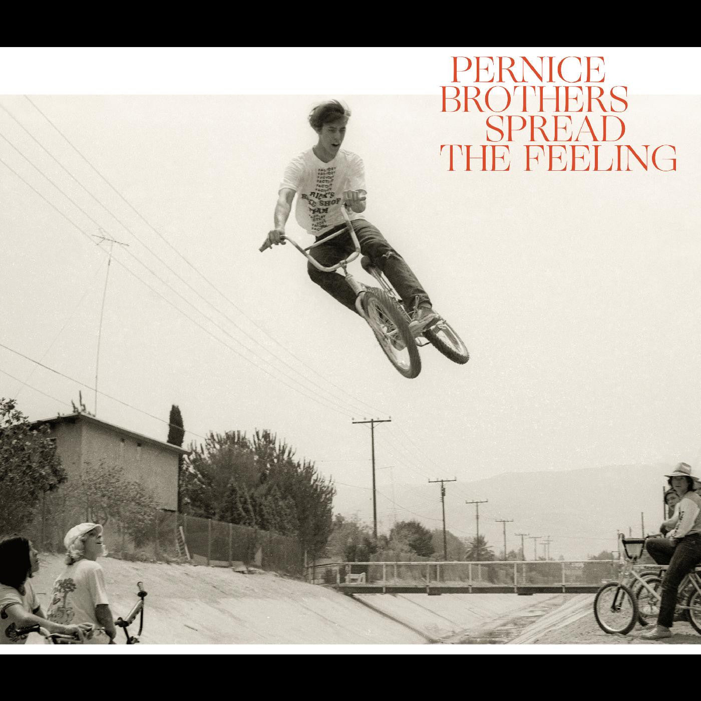 Pernice Brothers - Spread The Feeling (CD) | Mint Mint - ROCK *NEW*