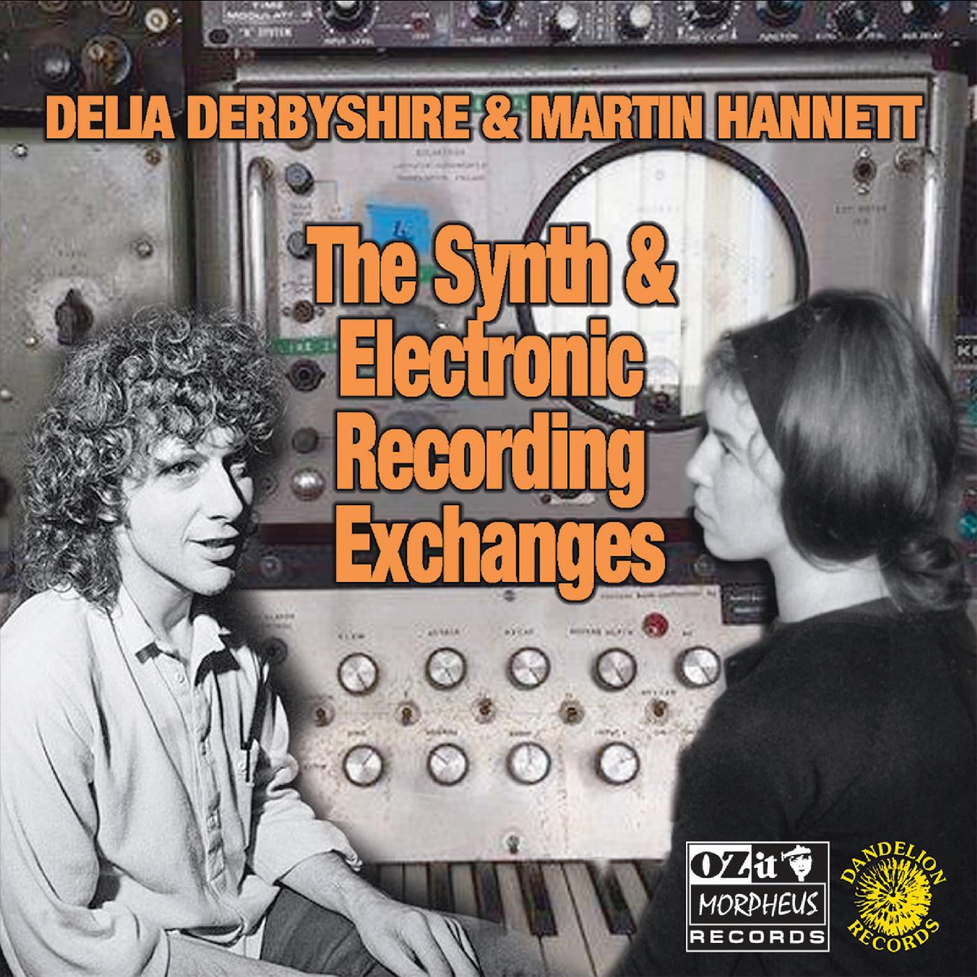 Derbyshire, Delia & Martin Hannett - The Synth And Electronic Recording Exchanges (Vinyl) | Mint (M) Mint (M) - ROCK *NEW*