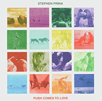Prina, Stephen - Push Comes To Love (CD) | Mint (M) Mint (M) - ROCK *NEW*