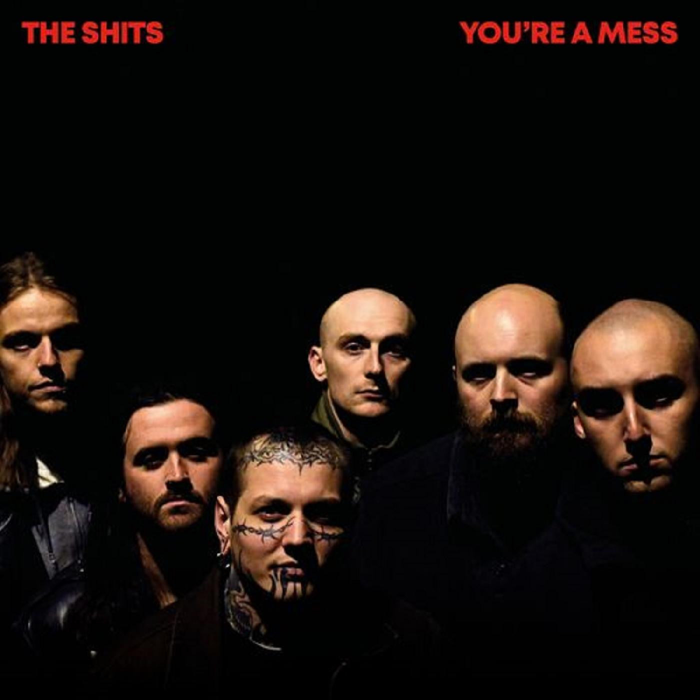 Shits, The - You're A Mess (Vinyl) | Mint (M) Mint (M) - ROCK *NEW*