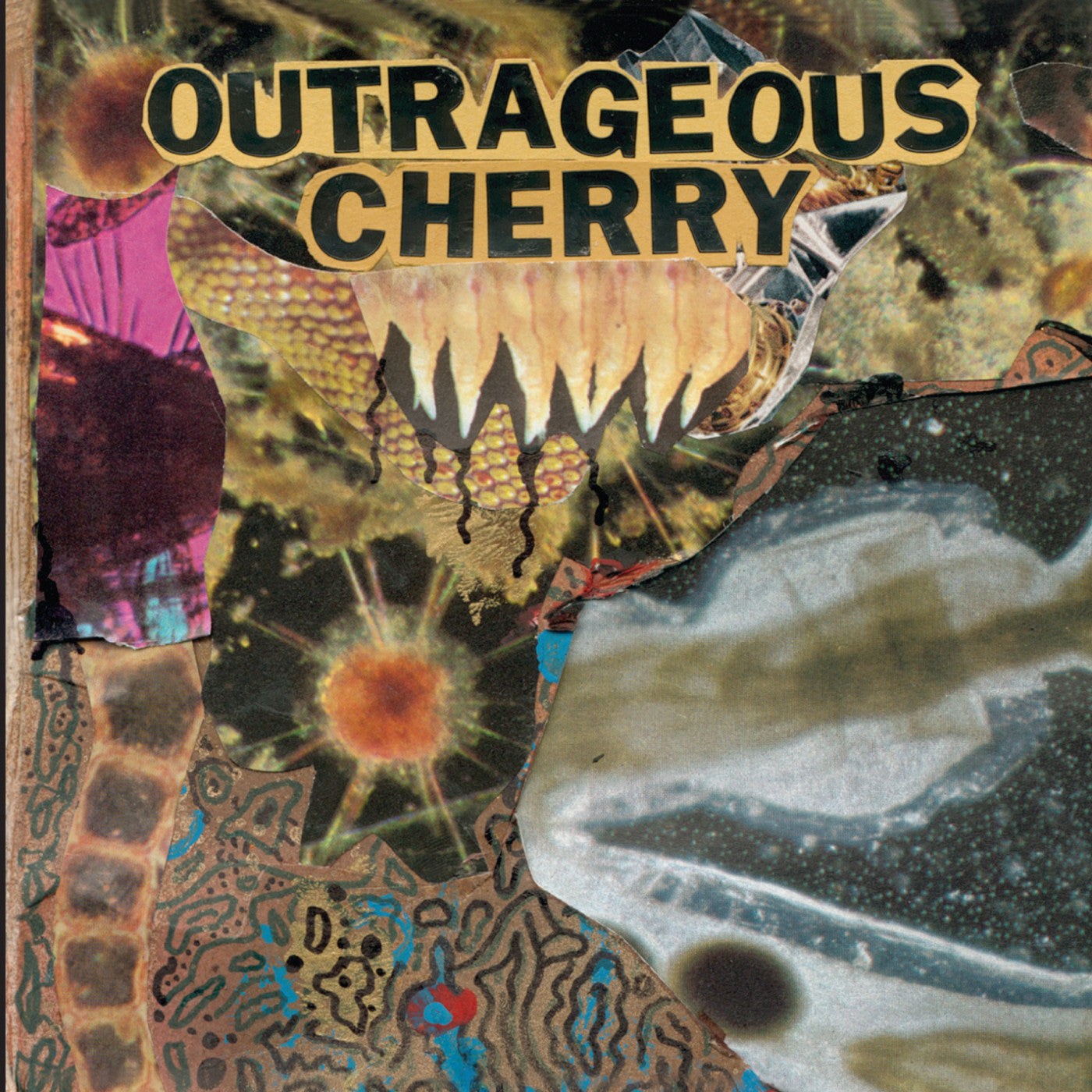 Outrageous Cherry - Universal Malcontents (CD) | - ROCK *NEW*