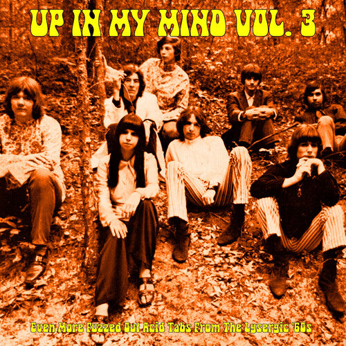 (PRESALE 6/5/26) Up In My Mind Vol. 3: Even More Fuzzed Out Acid Tabs... (VINYL) | Mint (M) Mint (M) - ROCK *NEW*