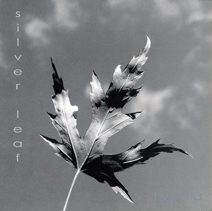 Low Crimes / Silver Leaf (VINYL 7") | Mint (M) Mint (M) - ROCK *NEW*