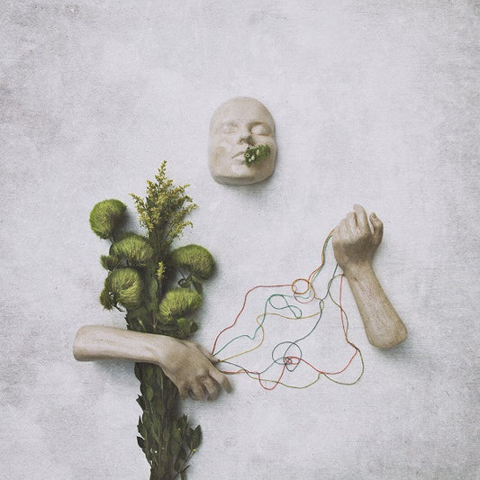 red steppes - A Mouth May Grow | - ROCK *NEW*