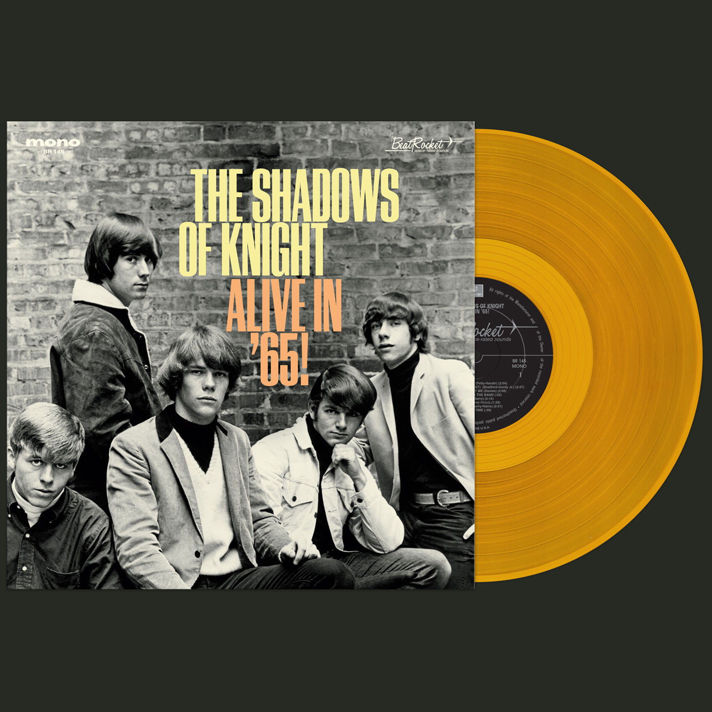 Shadows of Knight, The - Alive In '65! (GOLD VINYL) | - ROCK *NEW*