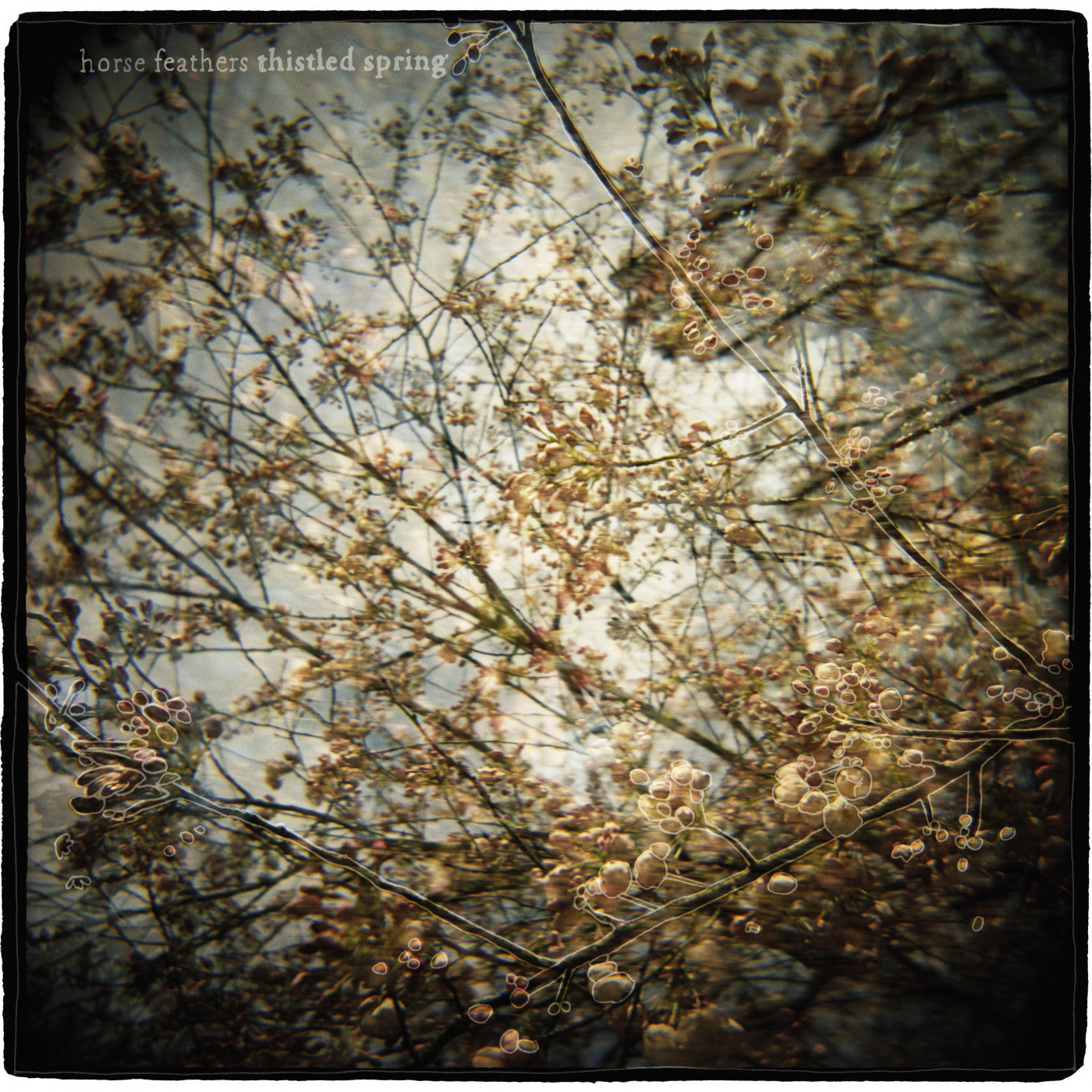 Horse Feathers - Thistled Spring LP (Vinyl) | Mint (M) Mint (M) - ROCK *NEW*