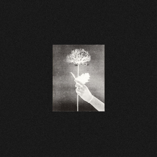 White Flowers - Day By Day (BLUE VINYL) | - ROCK *NEW*