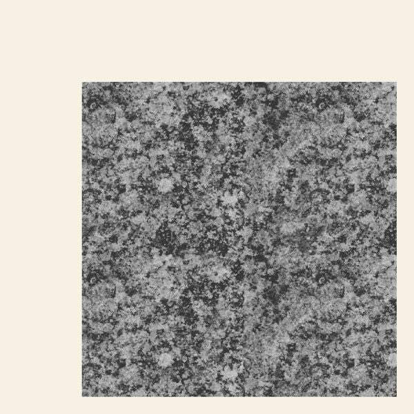 Girls Names - The New Life - 12" (Vinyl) | - ROCK *NEW*