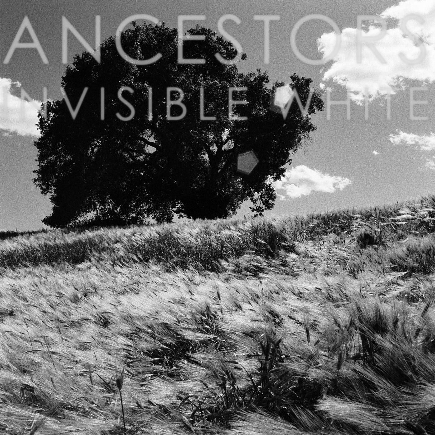 Ancestors - Invisible White (CD) | - ROCK *NEW*
