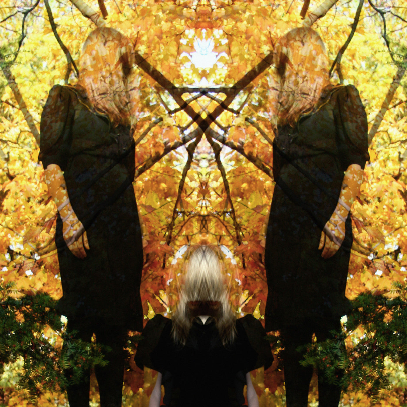 Austra - Feel It Break (CD) | Mint Mint - ROCK *NEW*