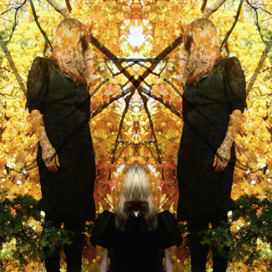 Austra - Feel It Break (CD) | Mint Mint - ROCK *NEW*