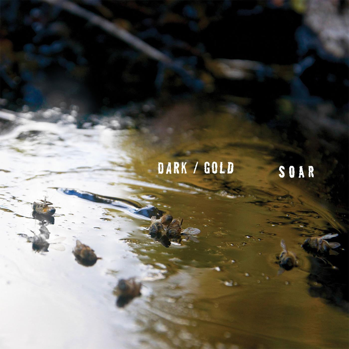 SOAR - dark / gold | - ROCK *NEW*