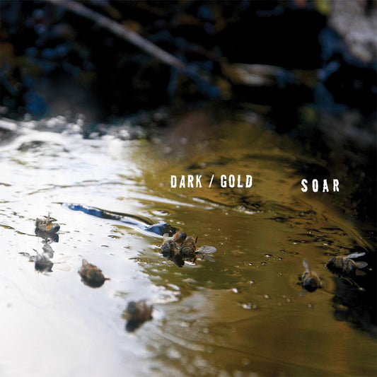 SOAR - dark / gold | - ROCK *NEW*