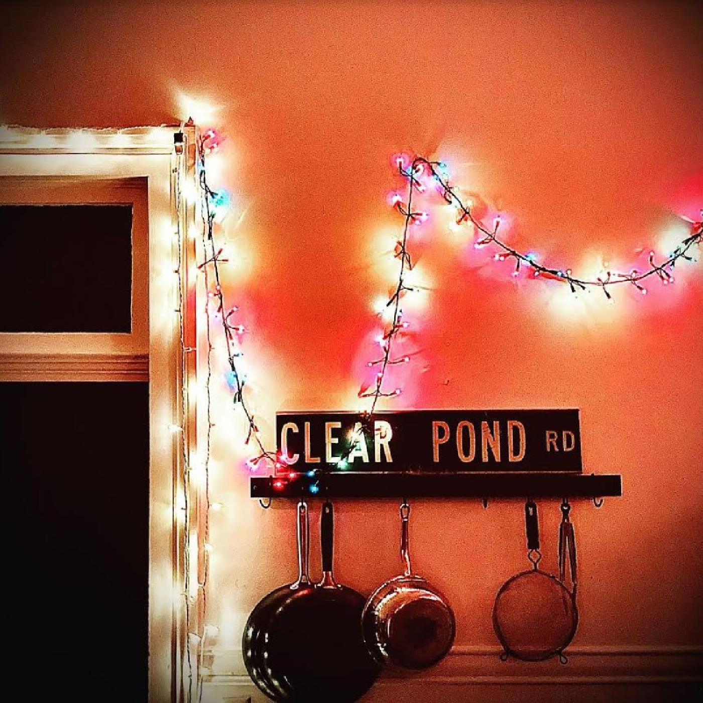 Hersh, Kristin - Clear Pond Road (CD) | - ROCK *NEW*