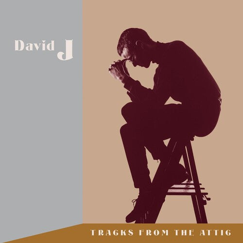 David J - Tracks From The Attic (3LP+3CD) | - ROCK *NEW*