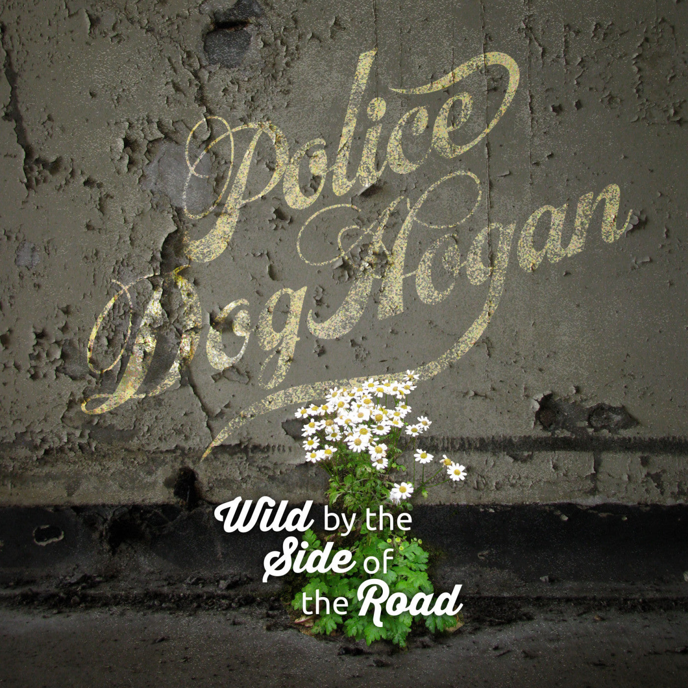 Police Dog Hogan - Wild By The Side Of The Road (Vinyl) | Mint (M) Mint (M) - ROCK *NEW*