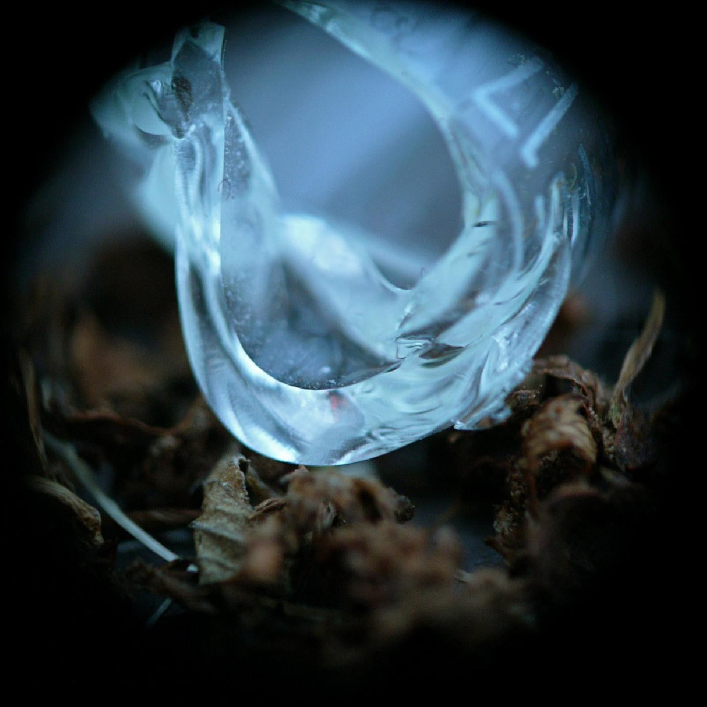 Ossicles - Mantelpiece (CD) | - ROCK *NEW*
