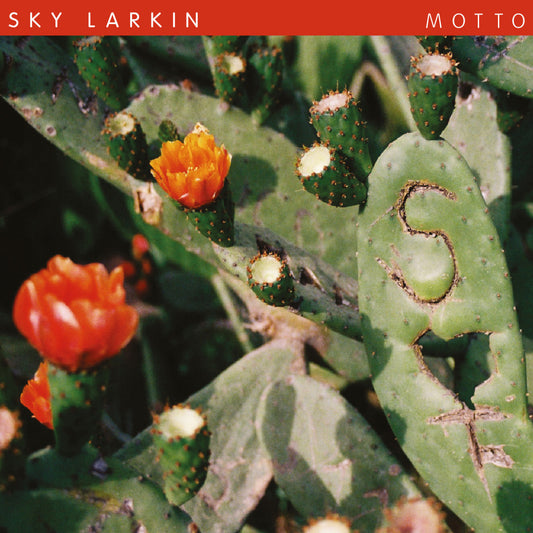 Sky Larkin - Motto | - ROCK *NEW*