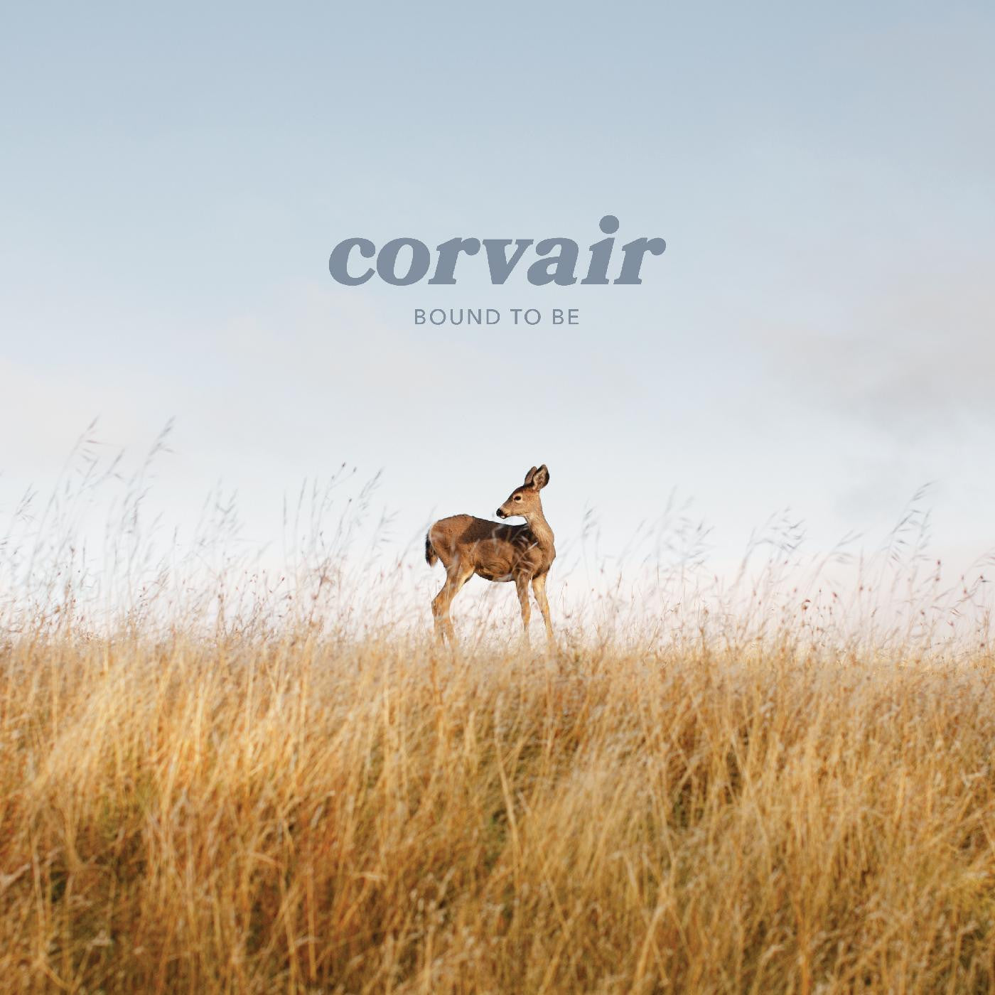 Corvair - Bound to be (CLEAR VINYL) (Vinyl) | - ROCK *NEW*