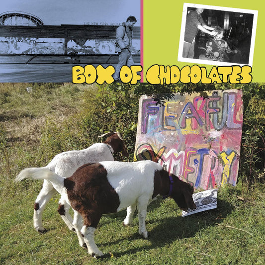 Box of Chocolates - Fearful Symmetry (Vinyl) | - ROCK *NEW*