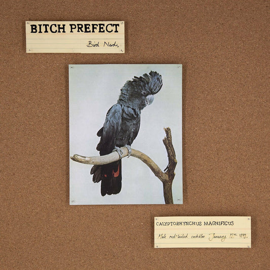 Bitch Prefect - Bird Nerds (CD) | - ROCK *NEW*