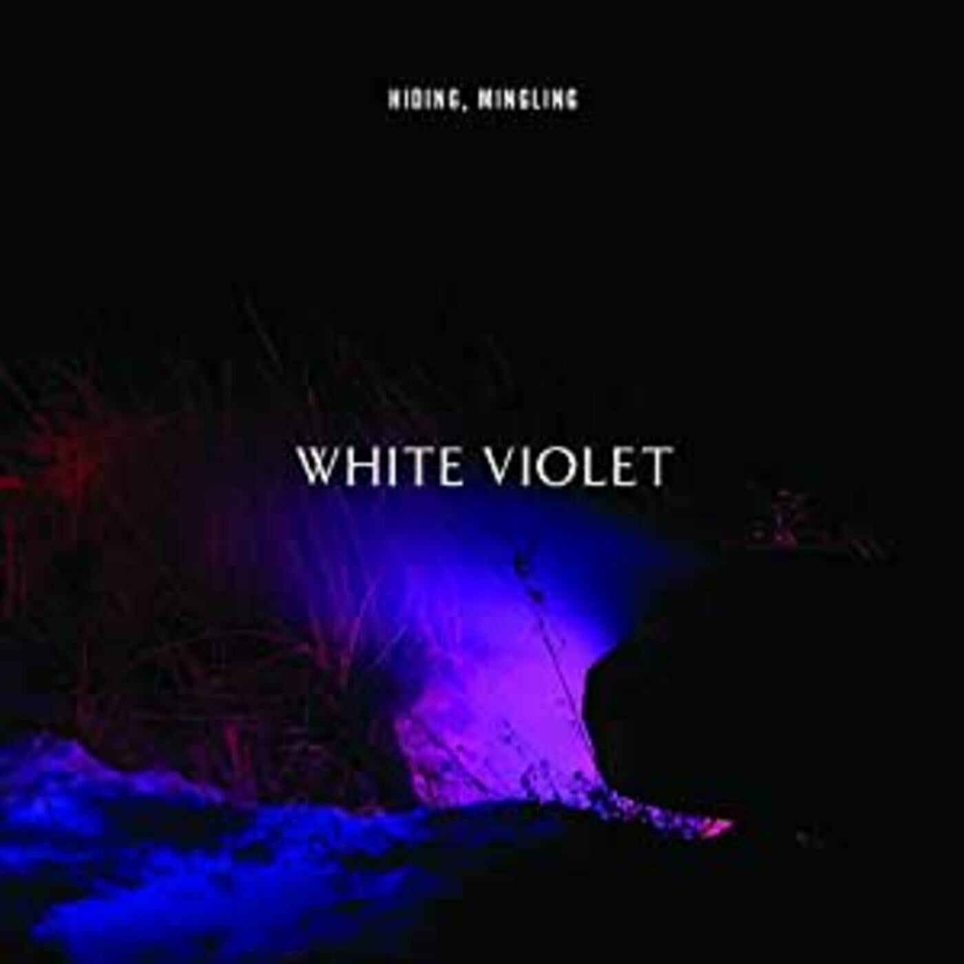 White Violet - Hiding, Mingling (CD) | - ROCK *NEW*