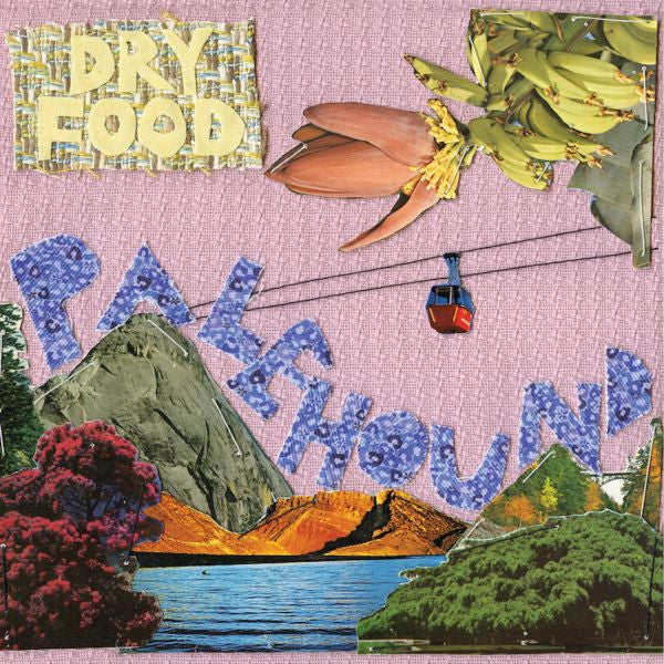 Palehound - Dry Food (Vinyl) | - ROCK *NEW*