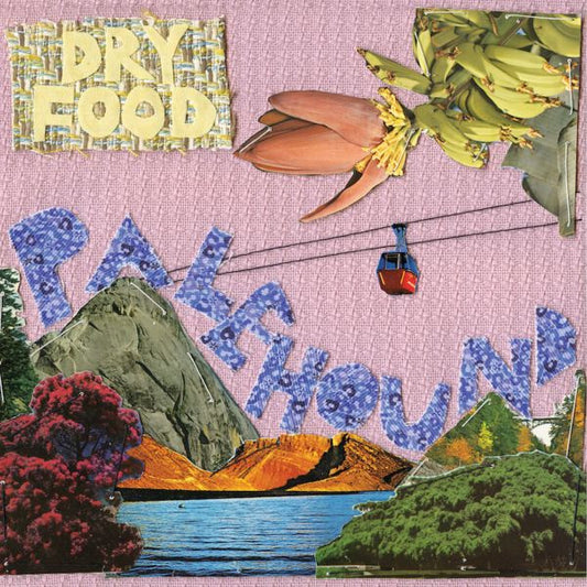Palehound - Dry Food (Vinyl) | - ROCK *NEW*