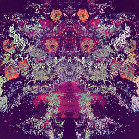 Emilie & Ogden - 10 000 (CD) | Mint (M) Mint (M) - ROCK *NEW*