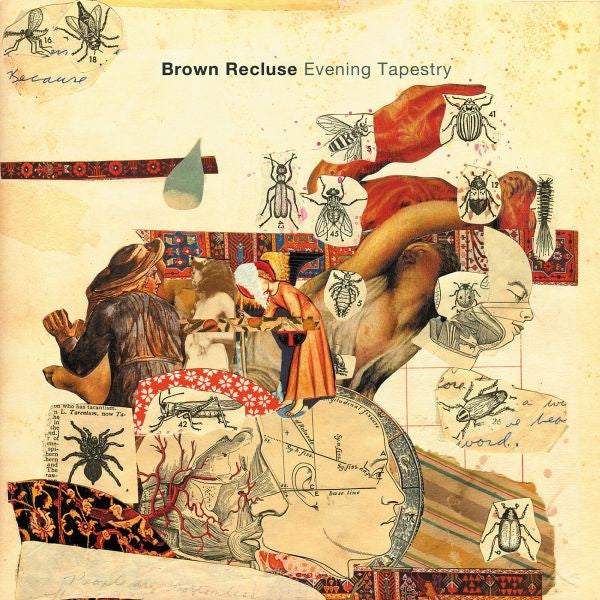 Brown Recluse - Evening Tapestry (CD) | Mint (M) Mint (M) - ROCK *NEW*