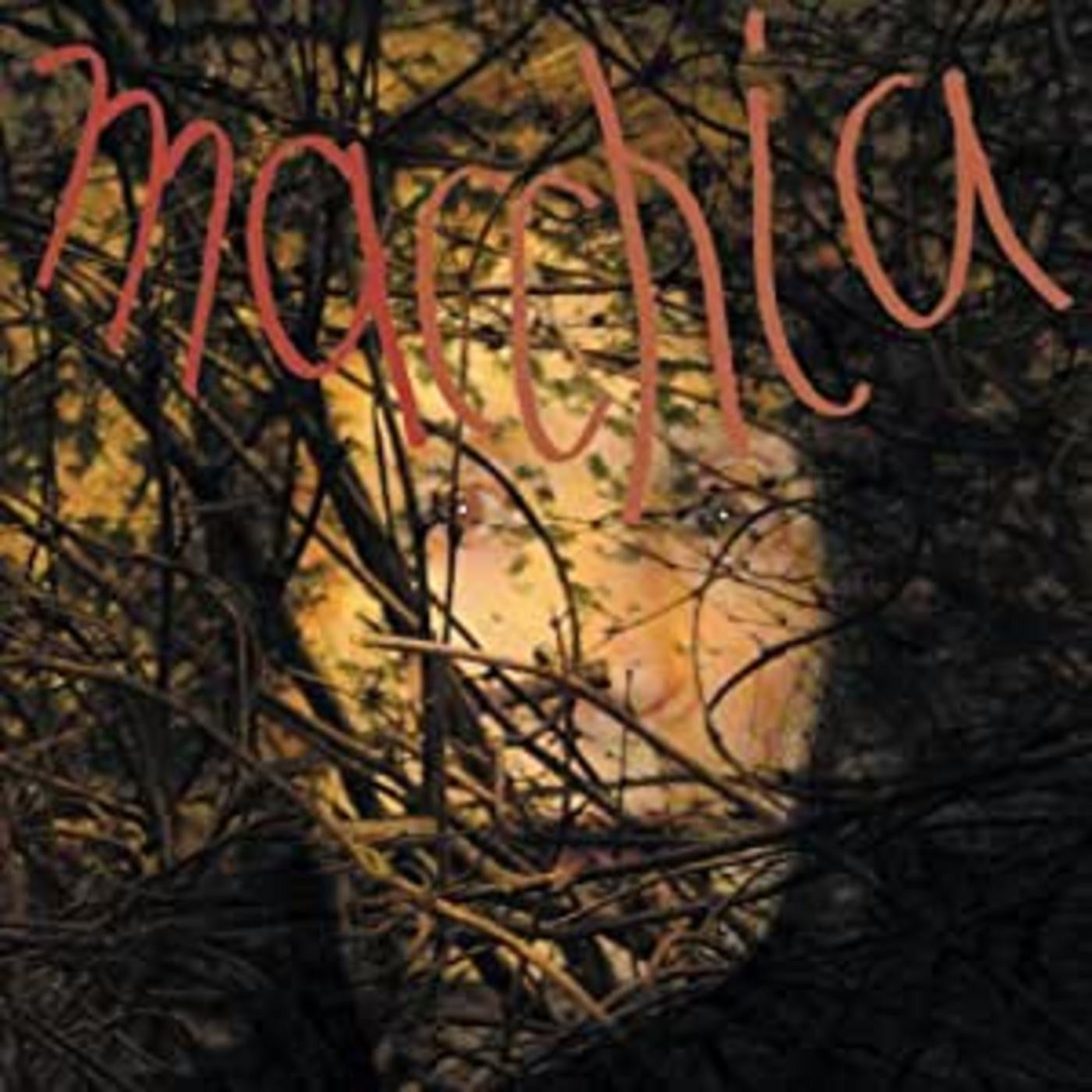 Fuchs/Heemann/Van Luijk - Macchia Forest (Vinyl) | Mint (M) Mint (M) - ROCK *NEW*