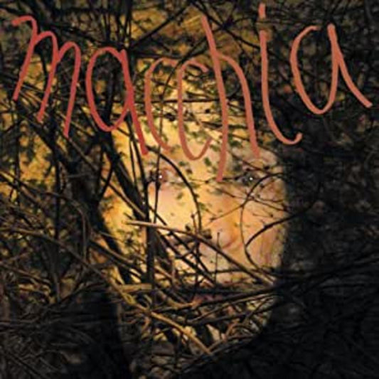 Fuchs/Heemann/Van Luijk - Macchia Forest (Vinyl) | Mint (M) Mint (M) - ROCK *NEW*