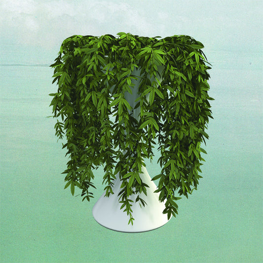 Errors - Lease Of Life (CD) | Mint Mint - ROCK *NEW*