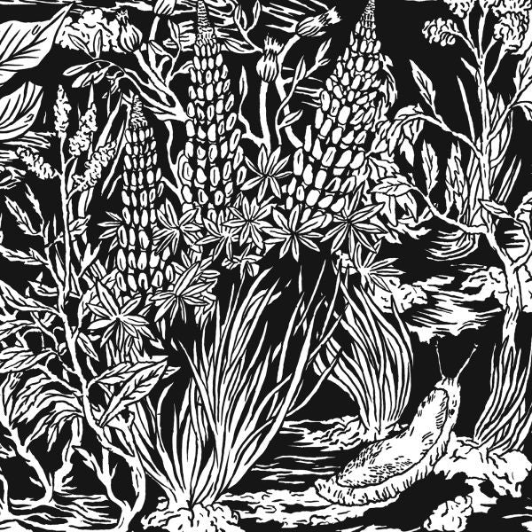 Eternal Tapestry - Wild Strawberries (CD) | Mint (M) Mint (M) - ROCK *NEW*