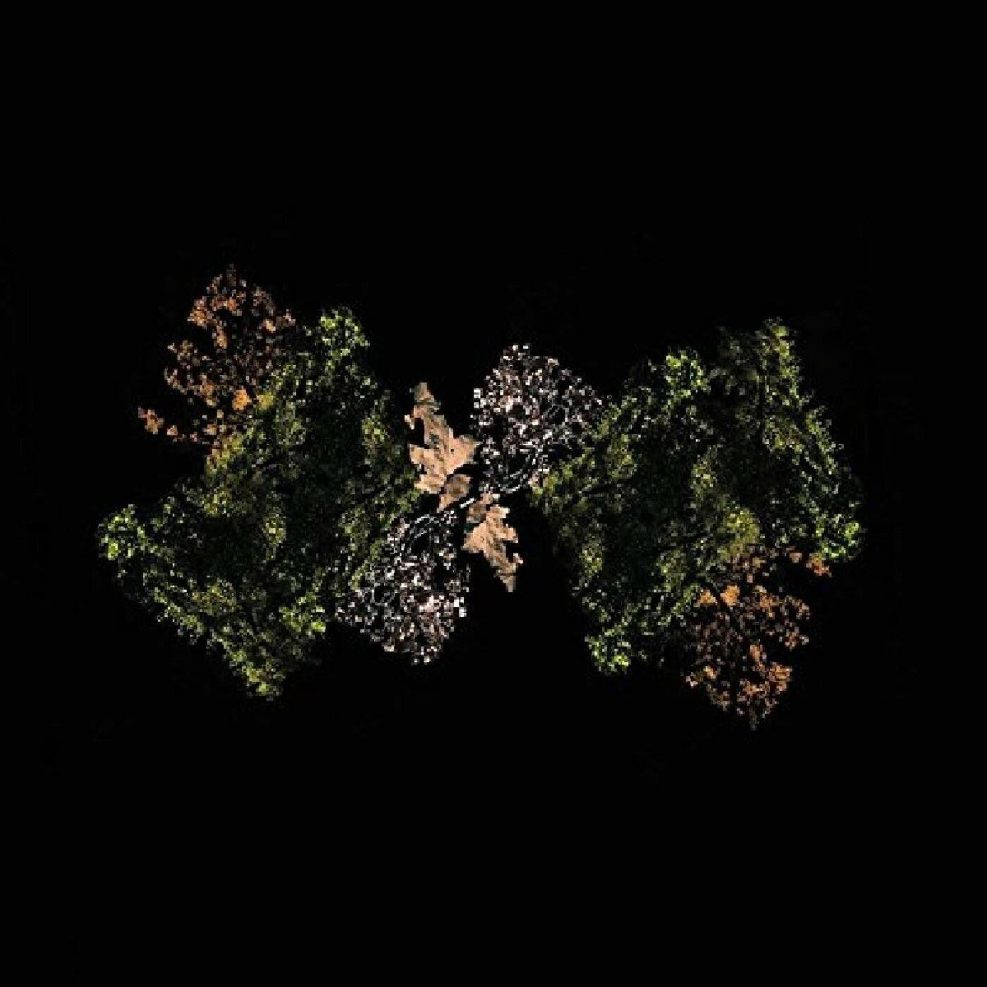 Woodsman - Woodsman (LEMON LIME VINYL) | - ROCK *NEW*
