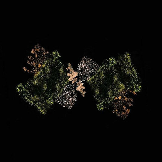 Woodsman - Woodsman (LEMON LIME VINYL) | - ROCK *NEW*