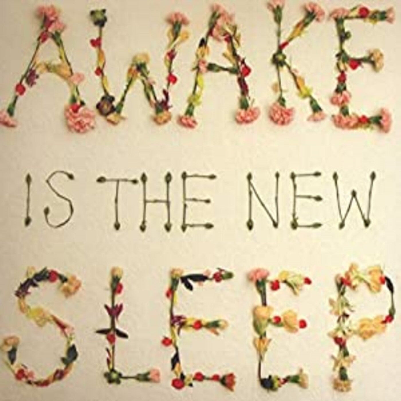 Lee, Ben - Awake Is The New Sleep (CD) | - ROCK *NEW*