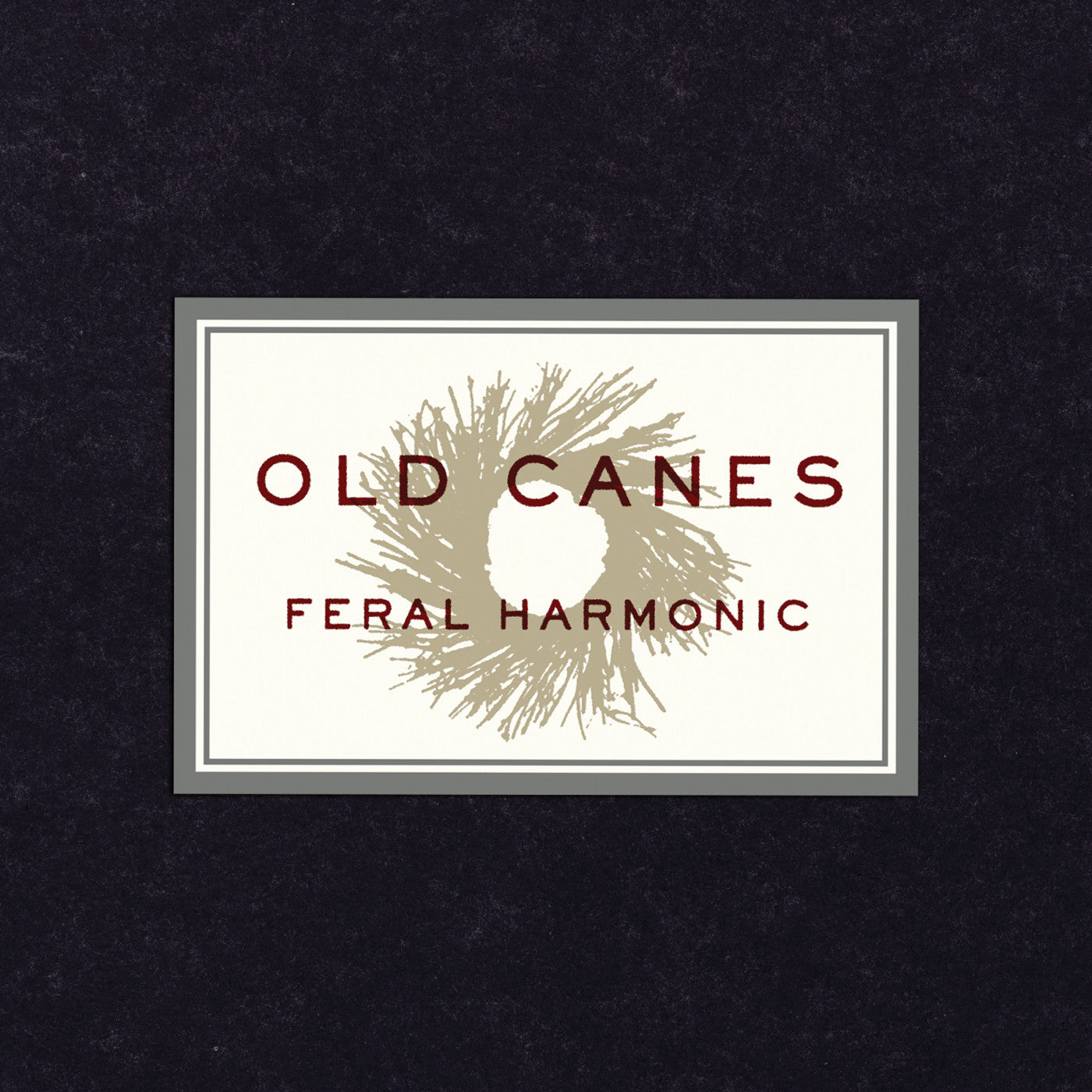 Old Canes - Feral Harmonic (CD) | Mint (M) Mint (M) - ROCK *NEW*
