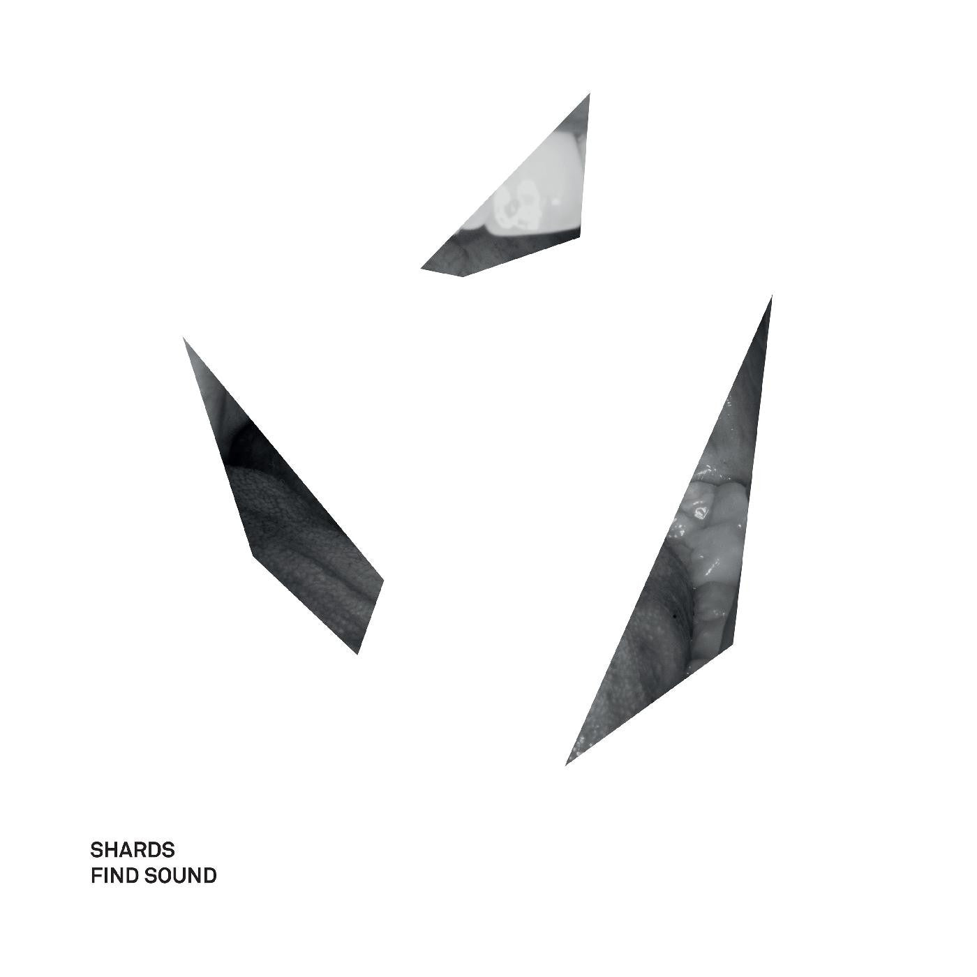 Shards - Find Sound (Vinyl) | - ROCK *NEW*