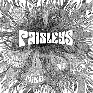 Paisleys, The - Cosmic Mind At Play | - ROCK *NEW*