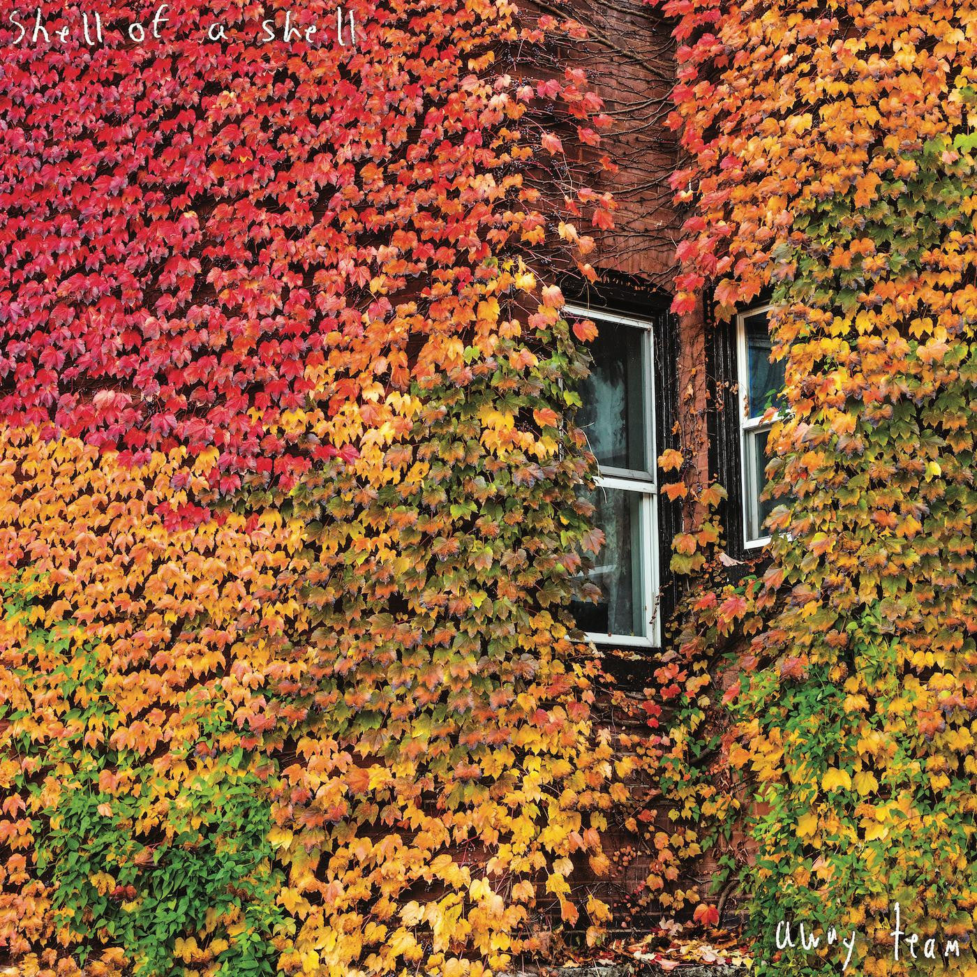 Shell of a Shell - Away Team (Vinyl) | Mint (M) Mint (M) - ROCK *NEW*