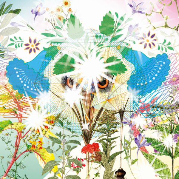 OOIOO - Gamel (CD) | Mint (M) Mint (M) - ROCK *NEW*