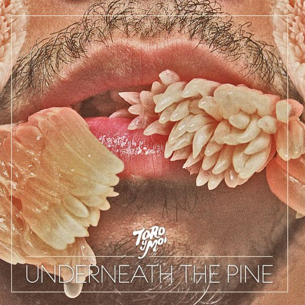 Toro y Moi - Underneath The Pine (CD) | Mint Mint - ROCK *NEW*