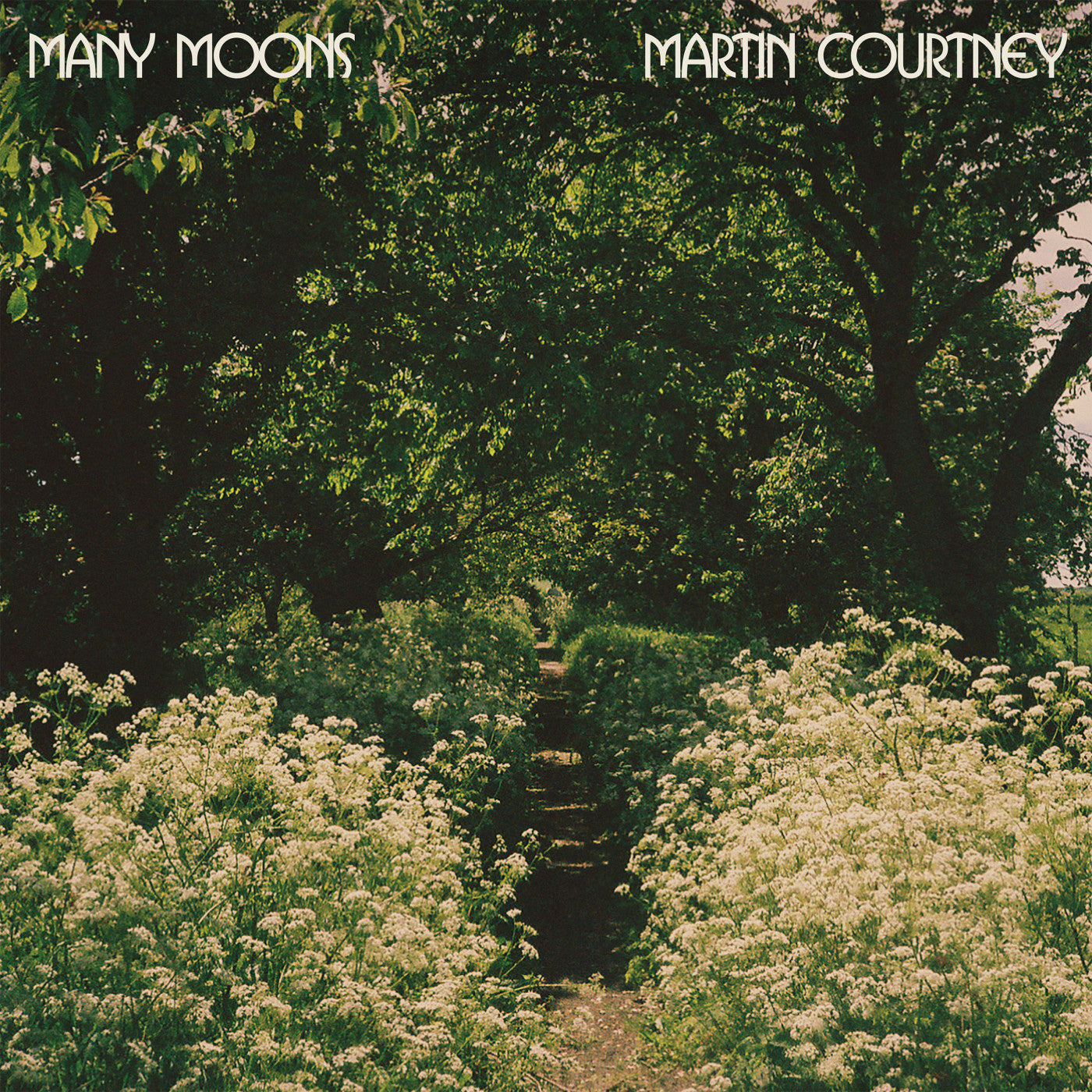 Courtney, Martin - Many Moons (CD) | Mint Mint - ROCK *NEW*