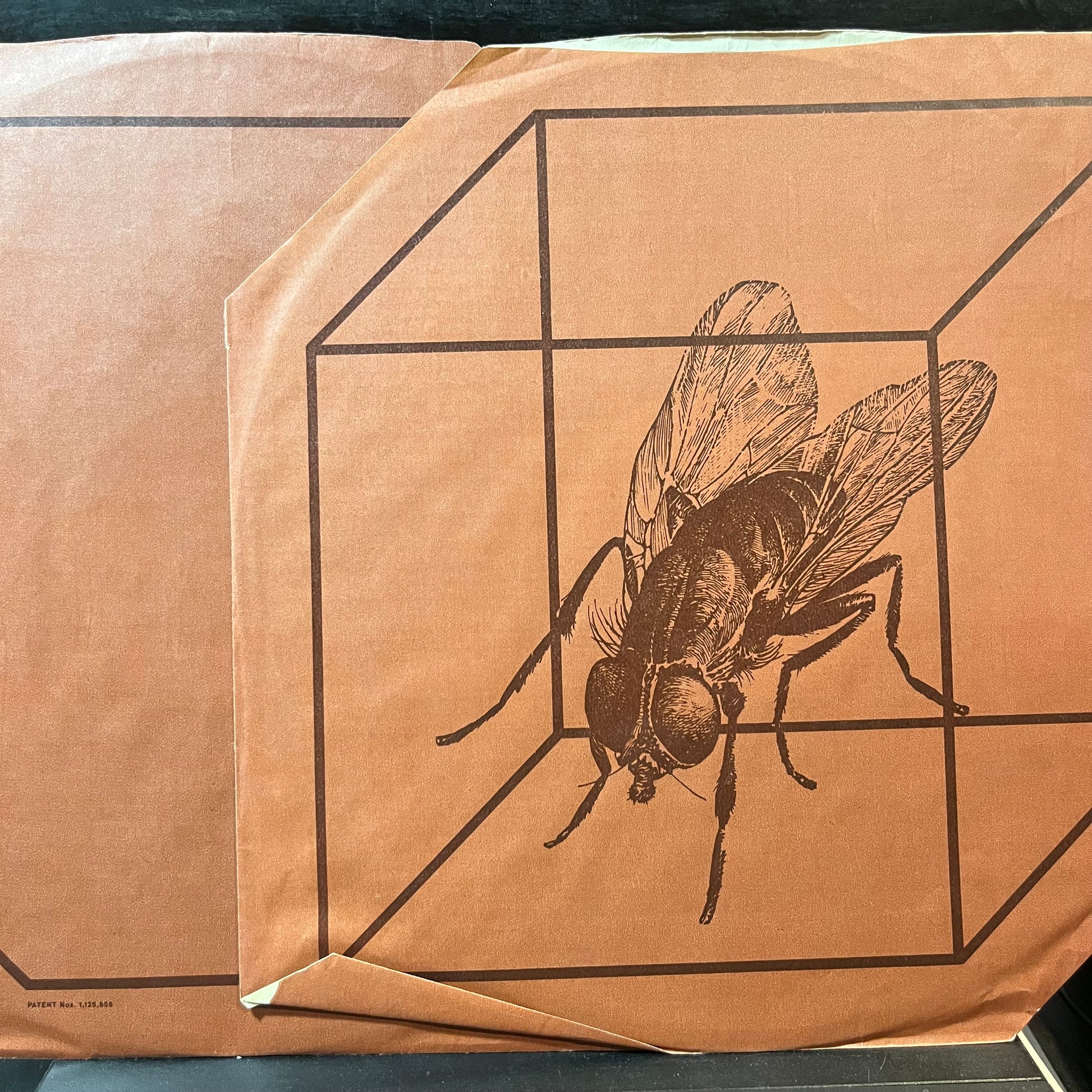 The Move - Shazam / Move (VINYL 2xLP FLY TOOFA 5/6 1972) | Near Mint- (NM-) Very Good Plus (VG+) - ROCK/PSYCH / USED *NEAR MINT-*