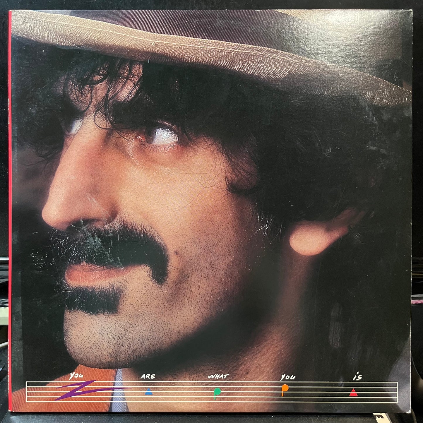Frank Zappa - You Are What You Is (VINYL 2xLP BARKING PUMPKIN PW2 37537 1981) | Near Mint (NM or M-) Near Mint (NM) - ROCK/PSYCH / USED *NEAR MINT*